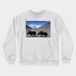 850_1165 Crewneck Sweatshirt